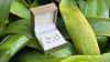Del Mar Necklace